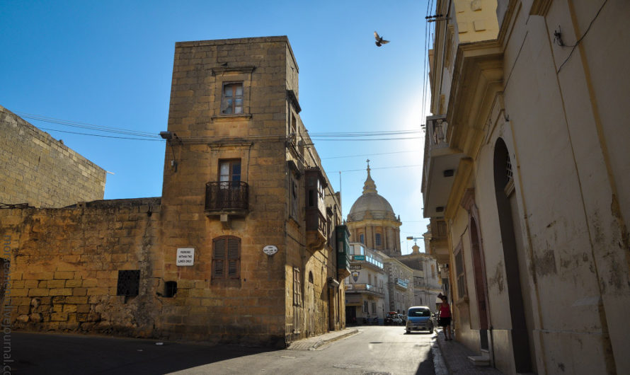 Мальтийская сторожевая. Nadur.