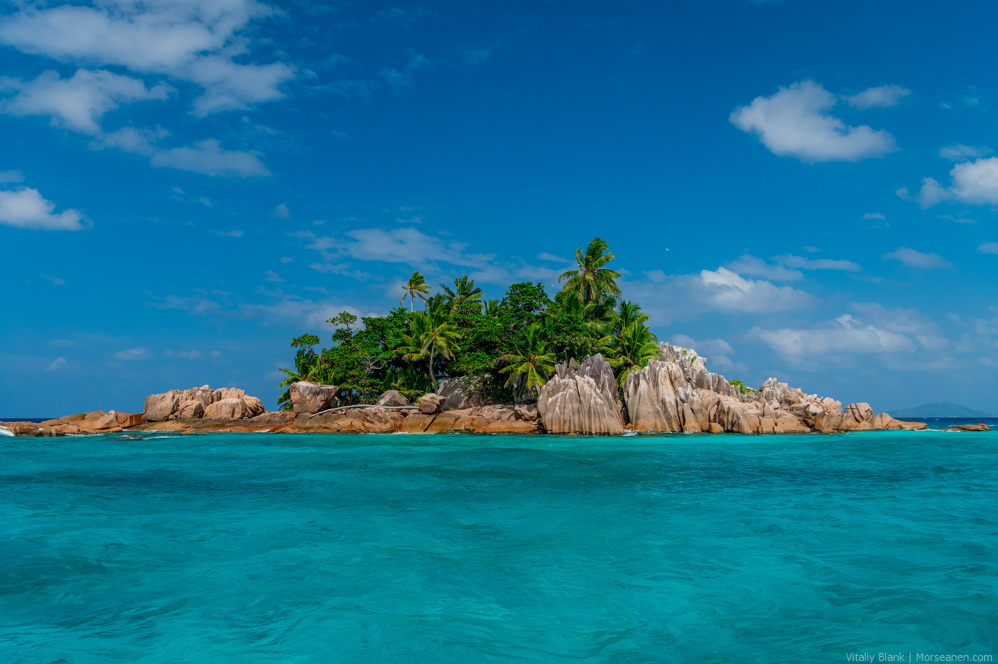 🇸🇨МАЛЫЕ СЕЙШЕЛЬСКИЕ🏝️