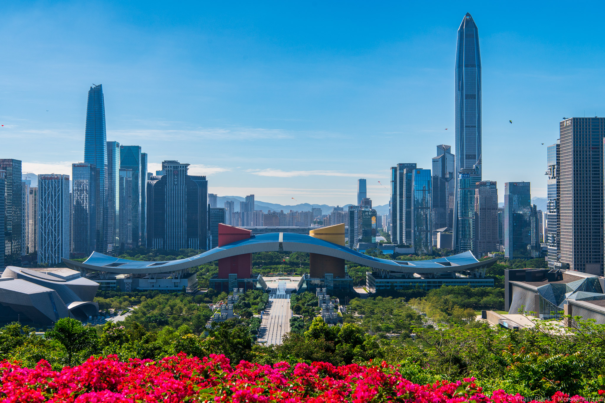 🫚ПОЛЕЗНЫЕ СВОЙСТВА КОРНЯ ШЕНЬЧЖЕНЯ🇨🇳