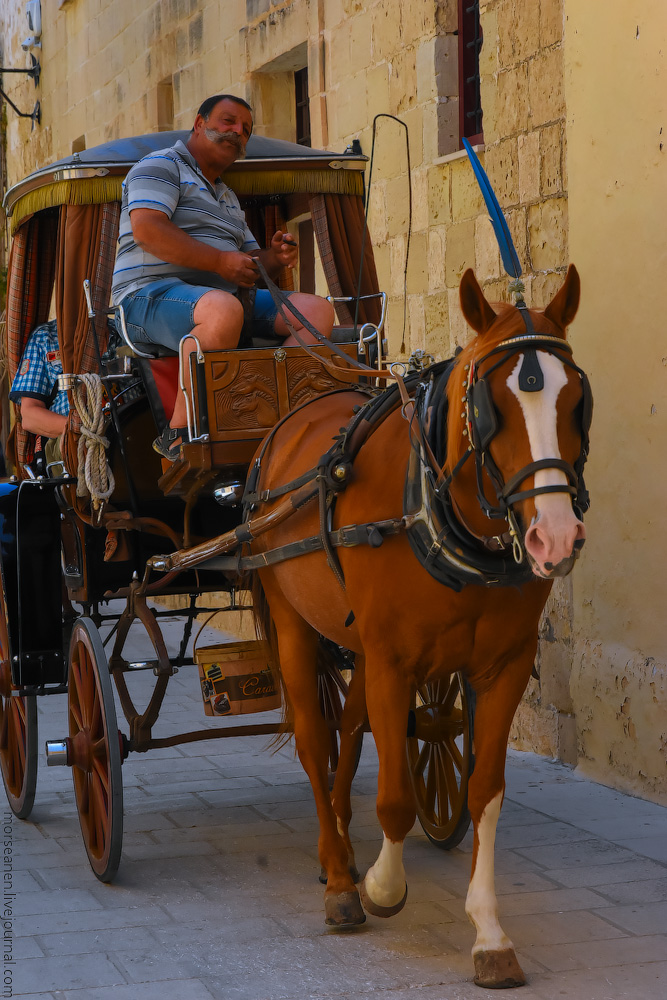 Malta-2019-(23)