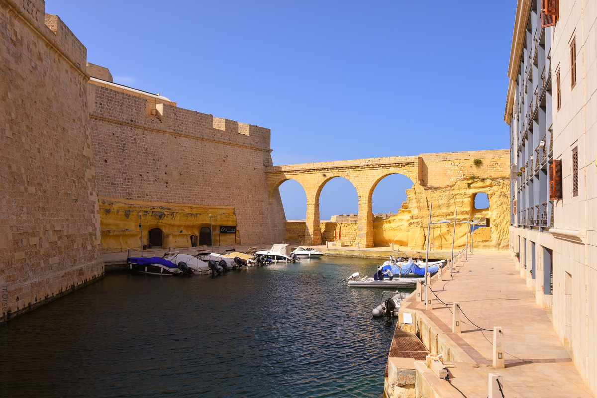 Vottoriosa-(6)