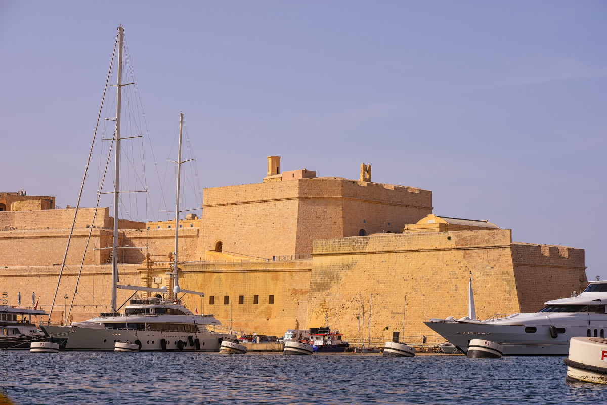 Vottoriosa-(12)