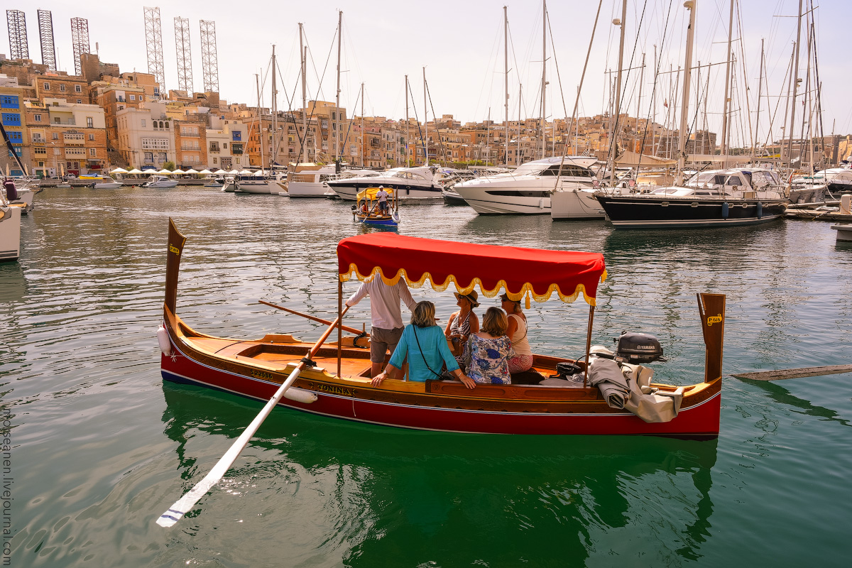 Vottoriosa-(5)