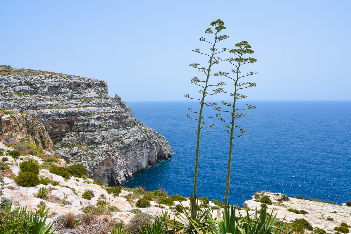 Blue-Grotto-(3)