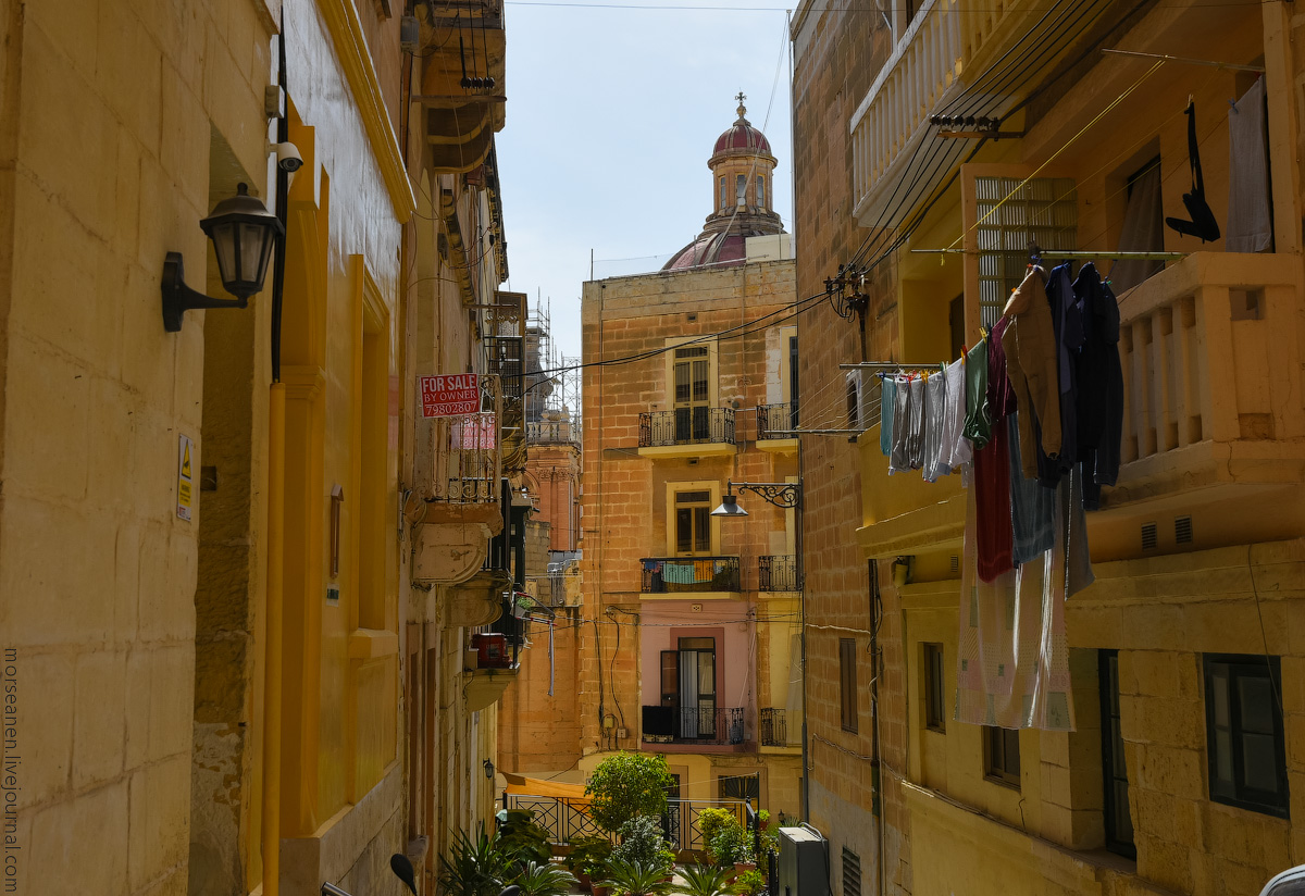 Vottoriosa-(4)