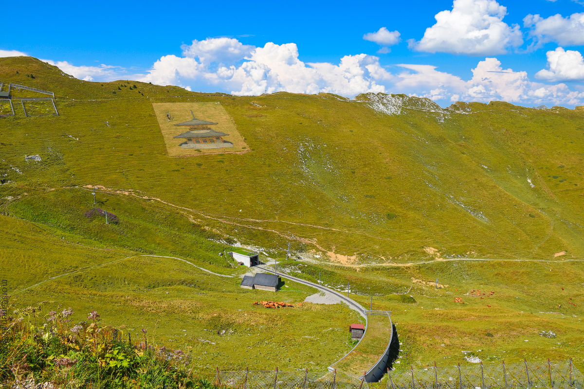 Schweizer-Alpen-(19)