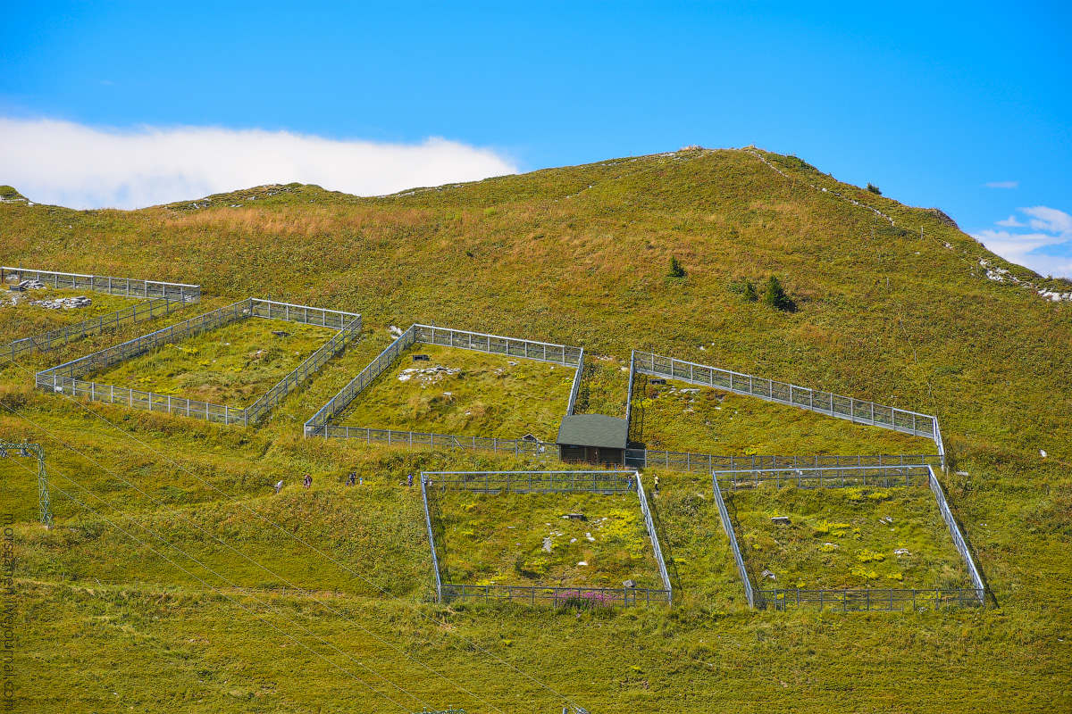 Schweizer-Alpen-(20)