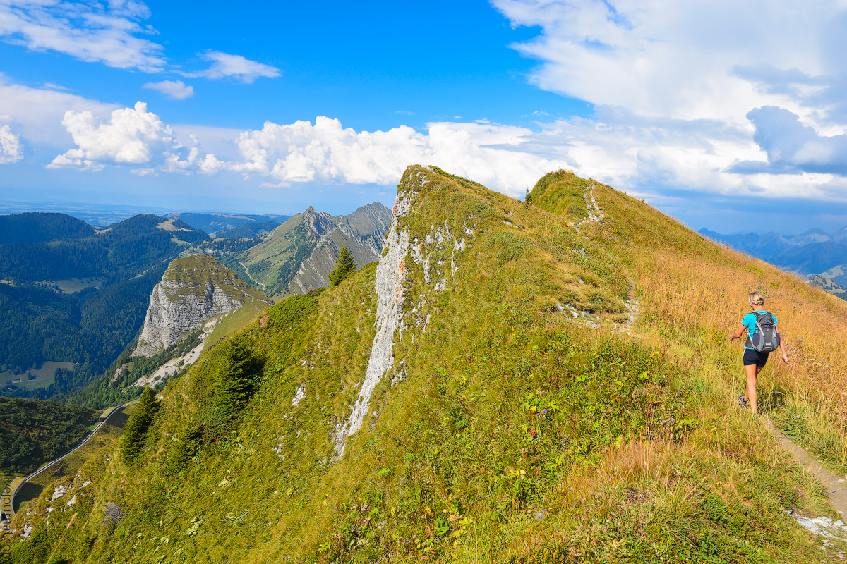 Schweizer-Alpen-(37)