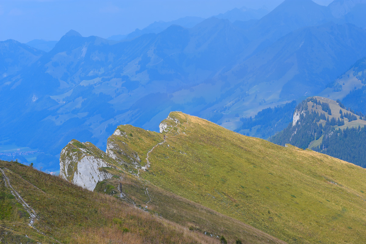 Schweizer-Alpen-(30)