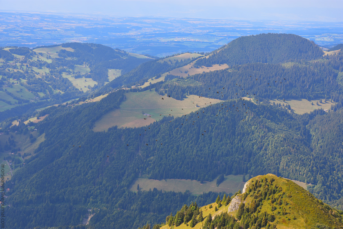 Schweizer-Alpen-(27)