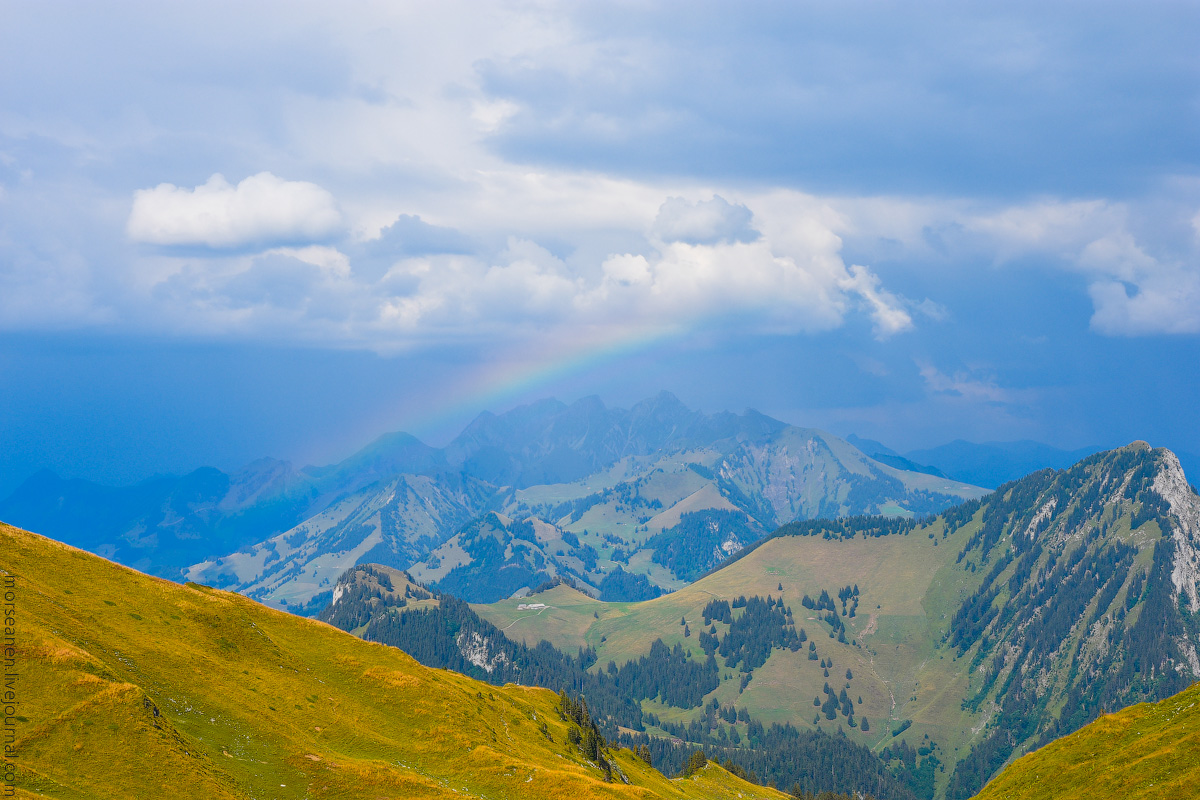 Schweizer-Alpen-(2)