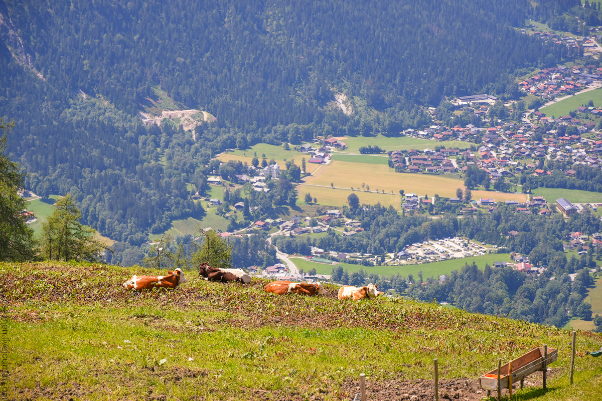 Koenigssee-Juni-2020-(26)