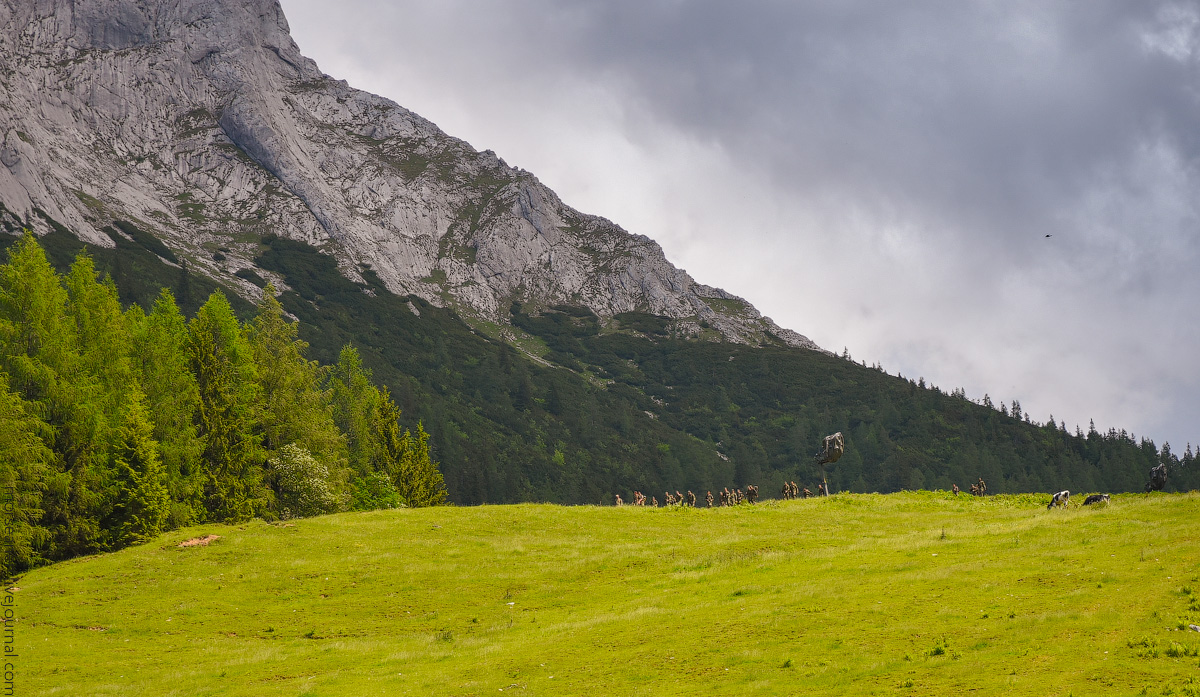 Koenigssee-Juni-2020-(21)