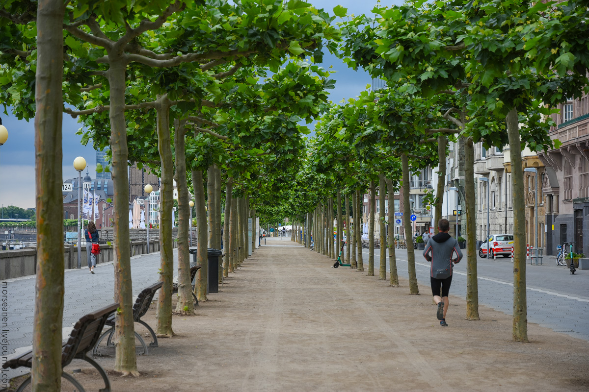 Duesseldorf-Rhein-(4)