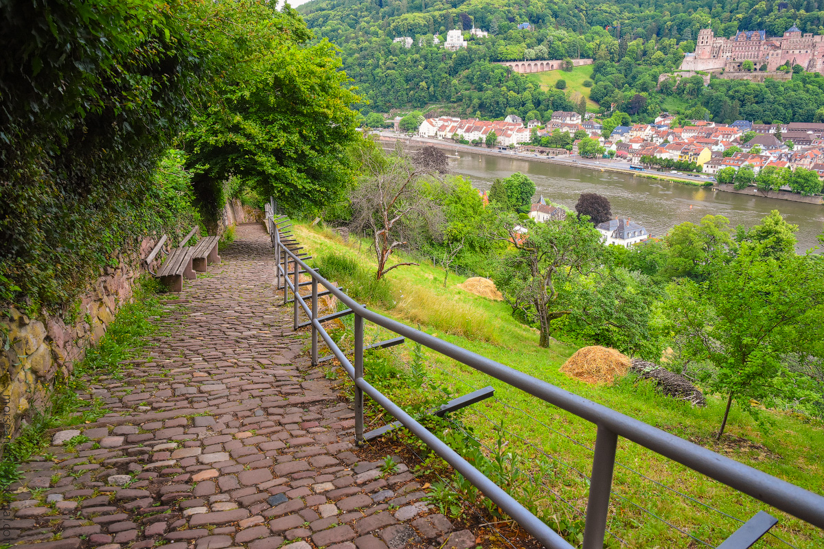 Heidelberg-(20)