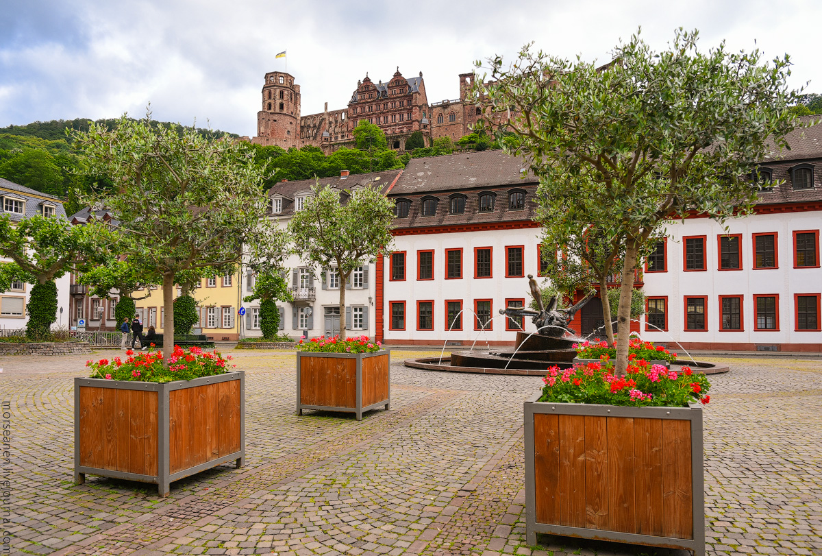 Heidelberg-(9)