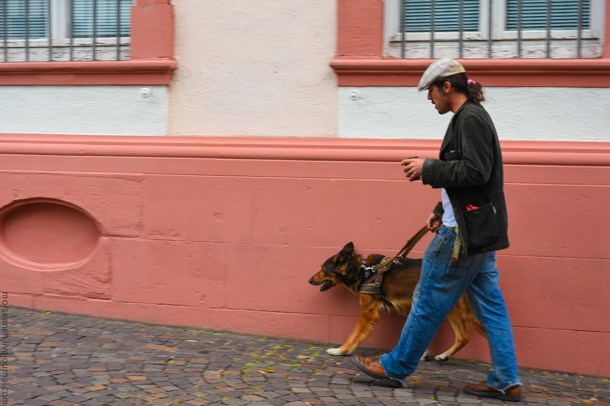 Heidelberg-(72)