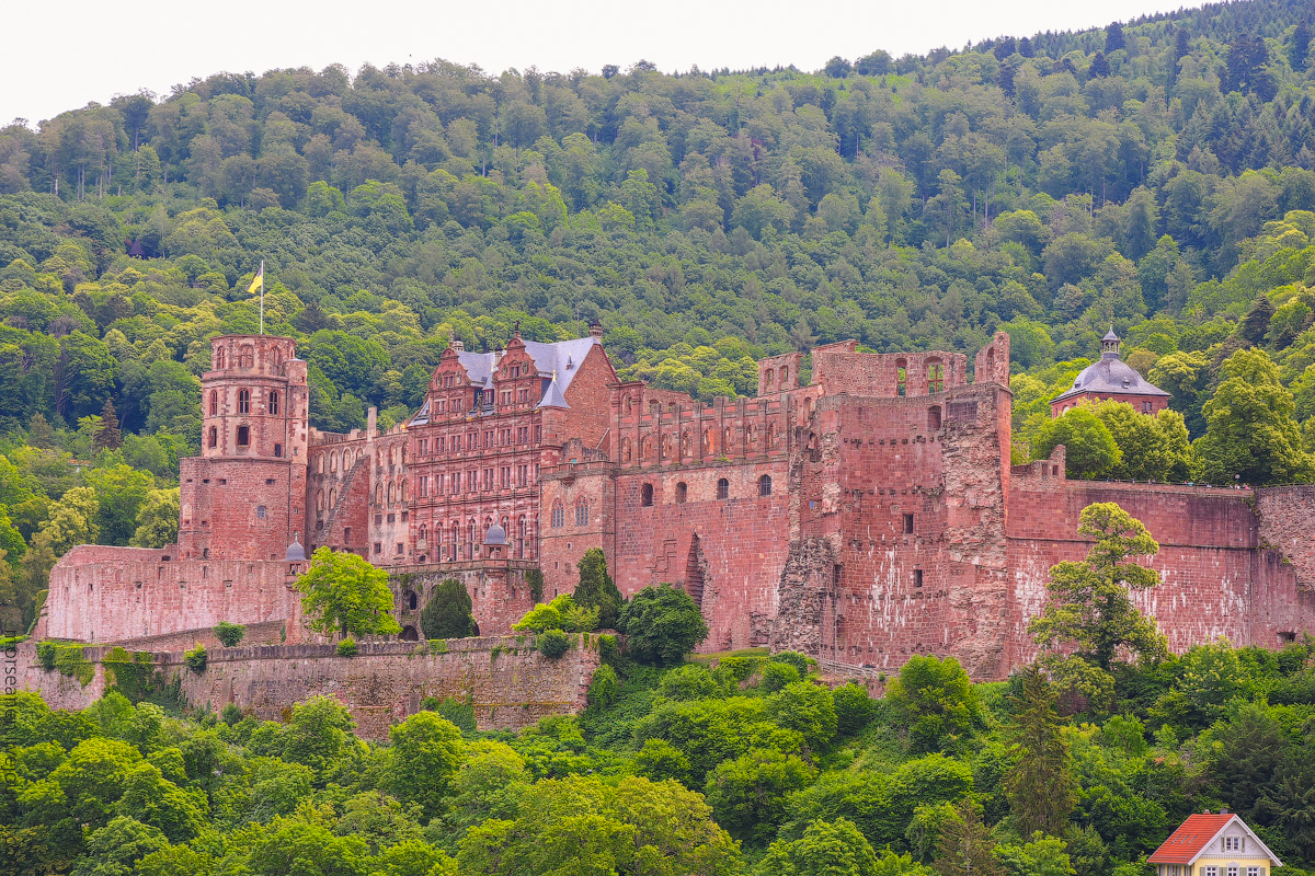 Heidelberg-(52)