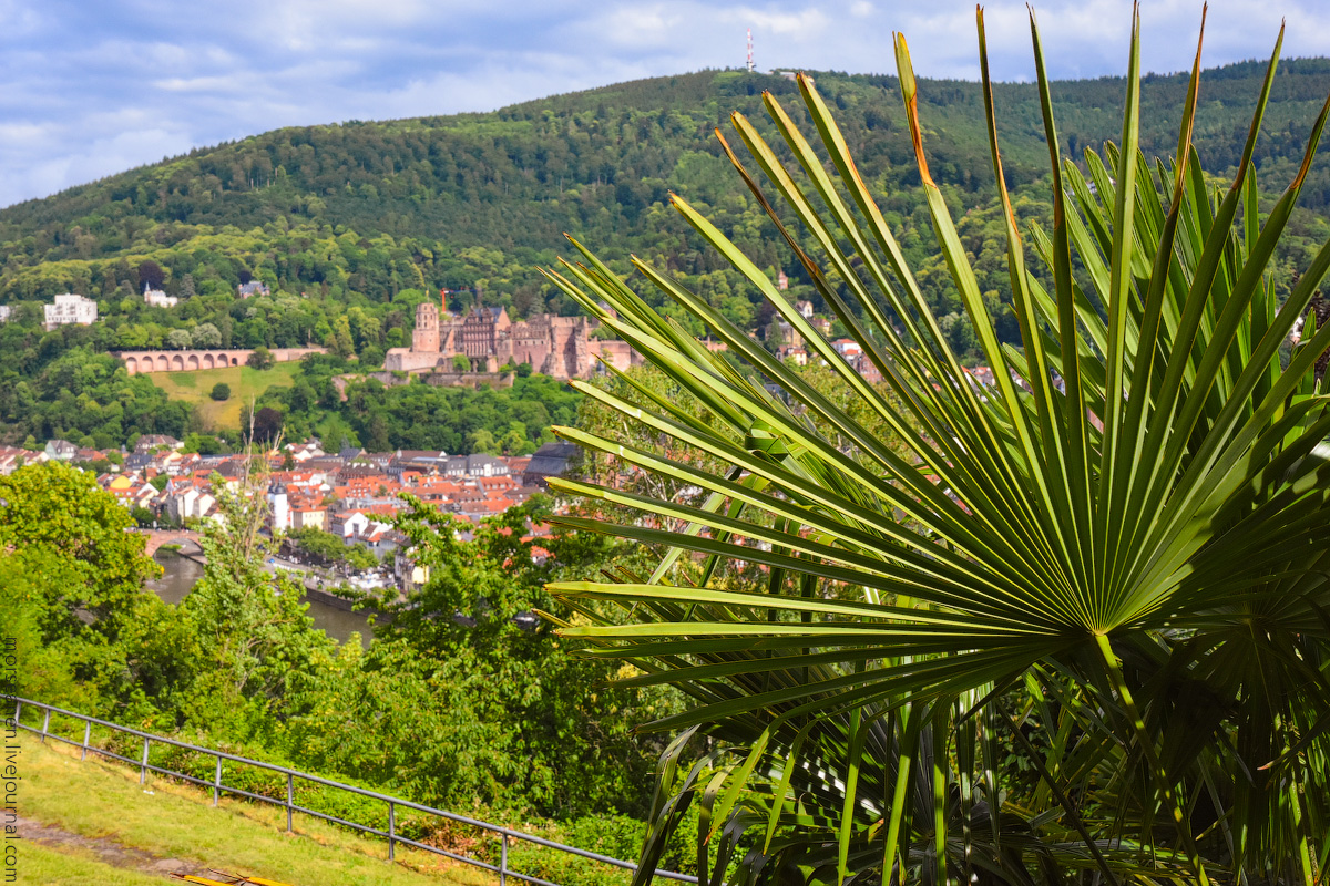 Heidelberg-(22)