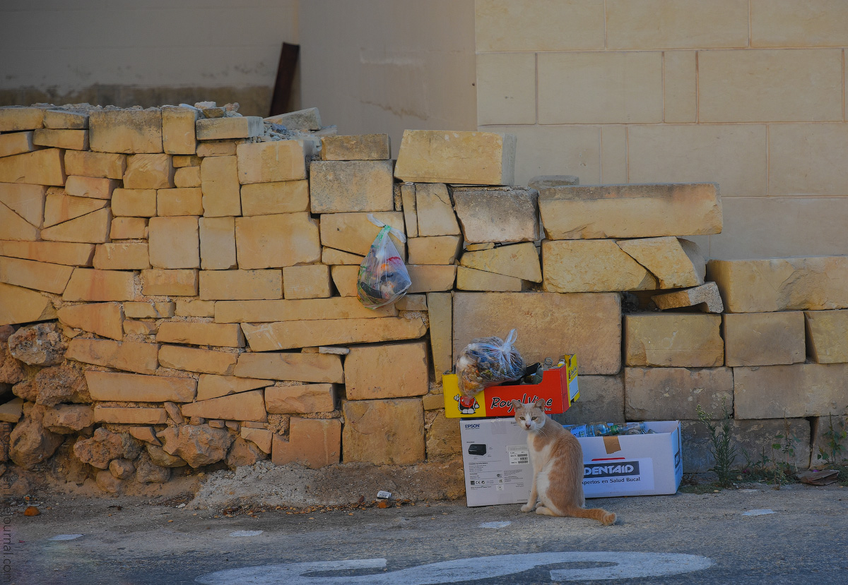 Malta-details-(37)