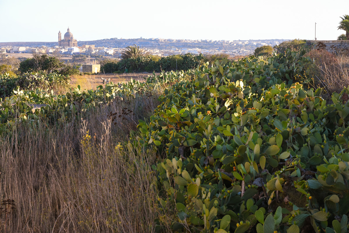 Malta-details-(2)