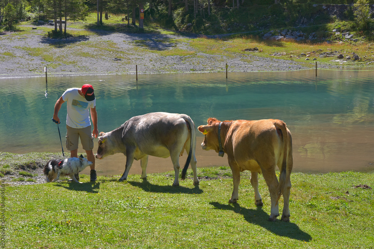 Oeschinersee-(12)