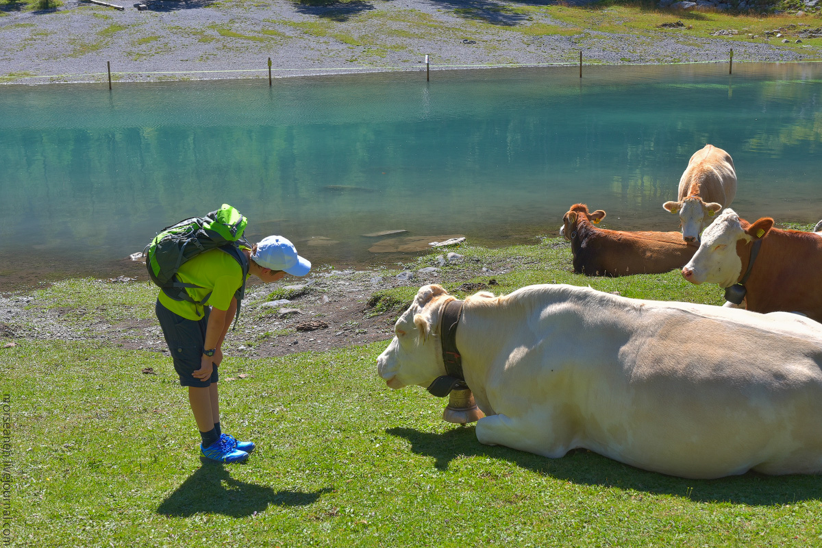 Oeschinersee-(10)