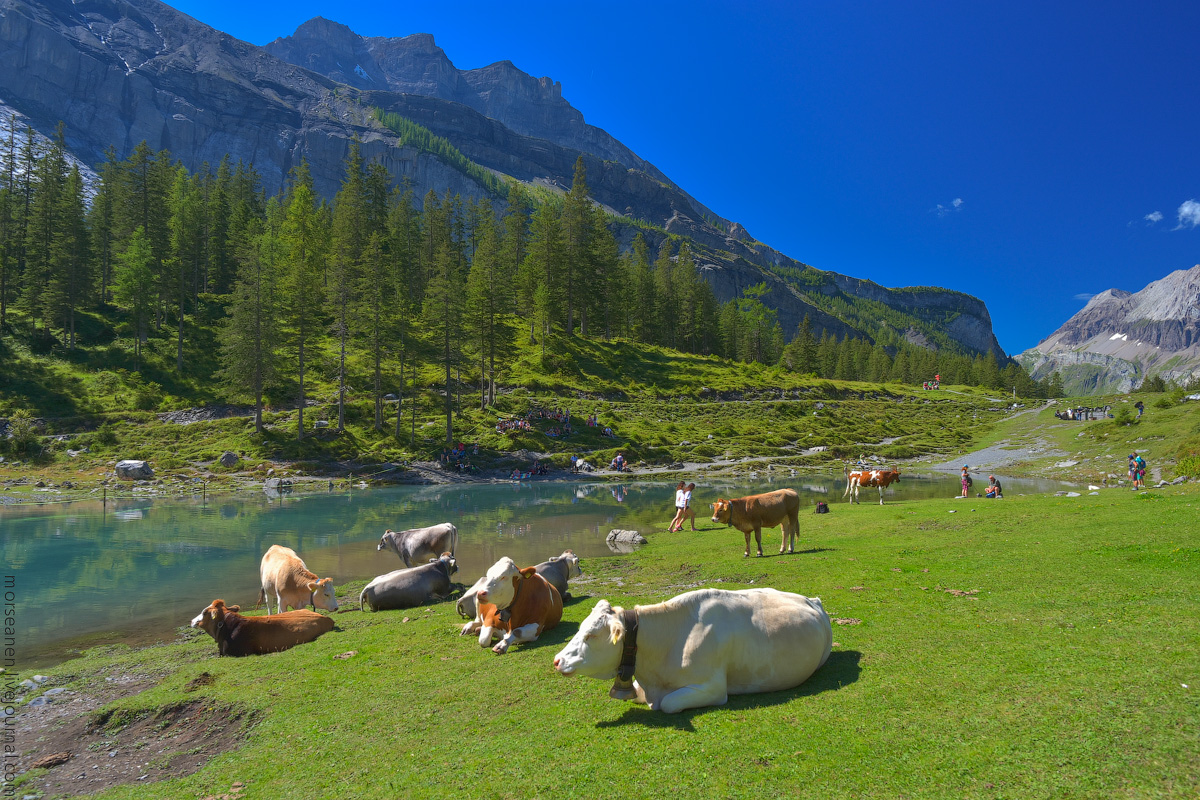 Oeschinersee-(9)