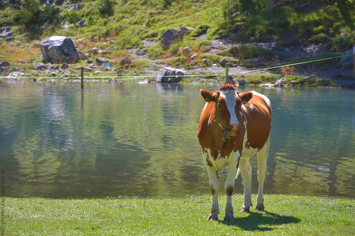 Oeschinersee-(13)