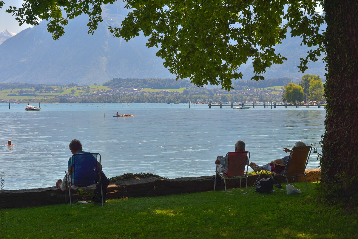 Spiez-(56)