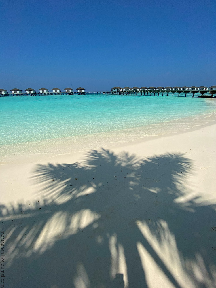 Maledives-(55)