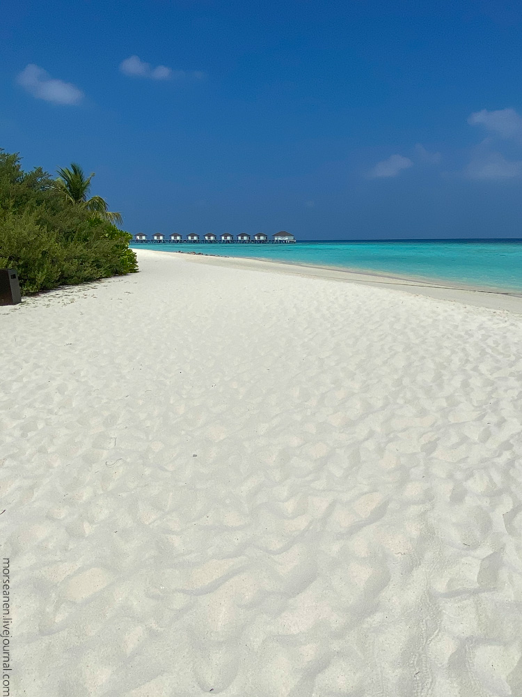 Maledives-(36)