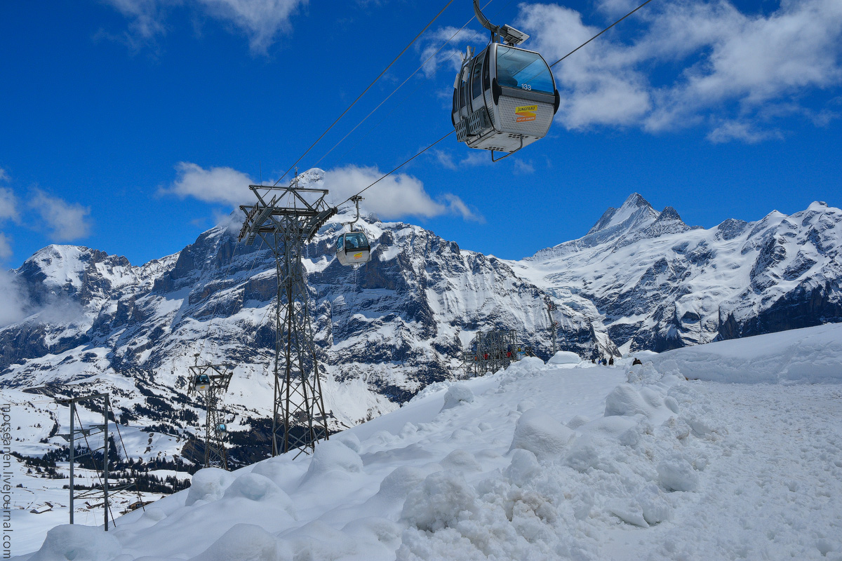 Grindelwald-(40)