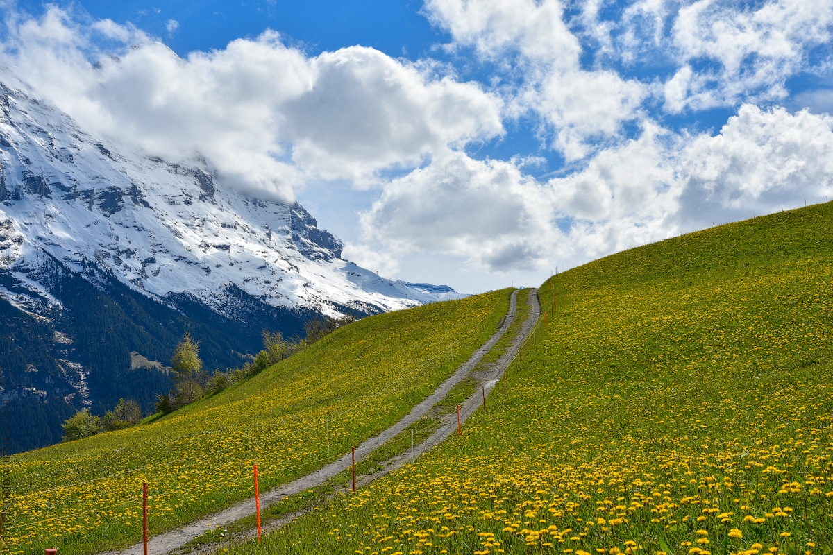 Grindelwald-(29)