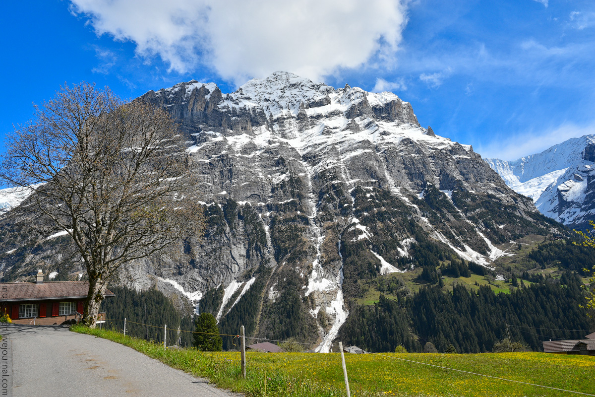 Grindelwald-(24)