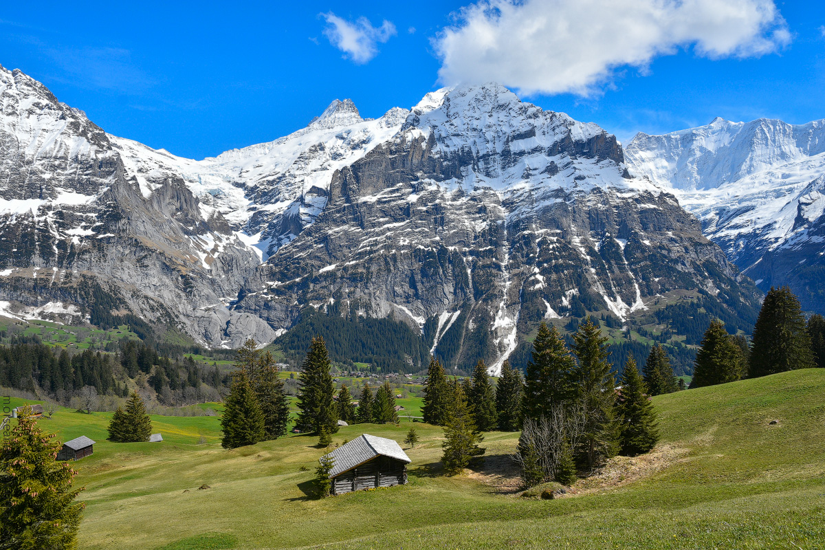 Grindelwald-(34)