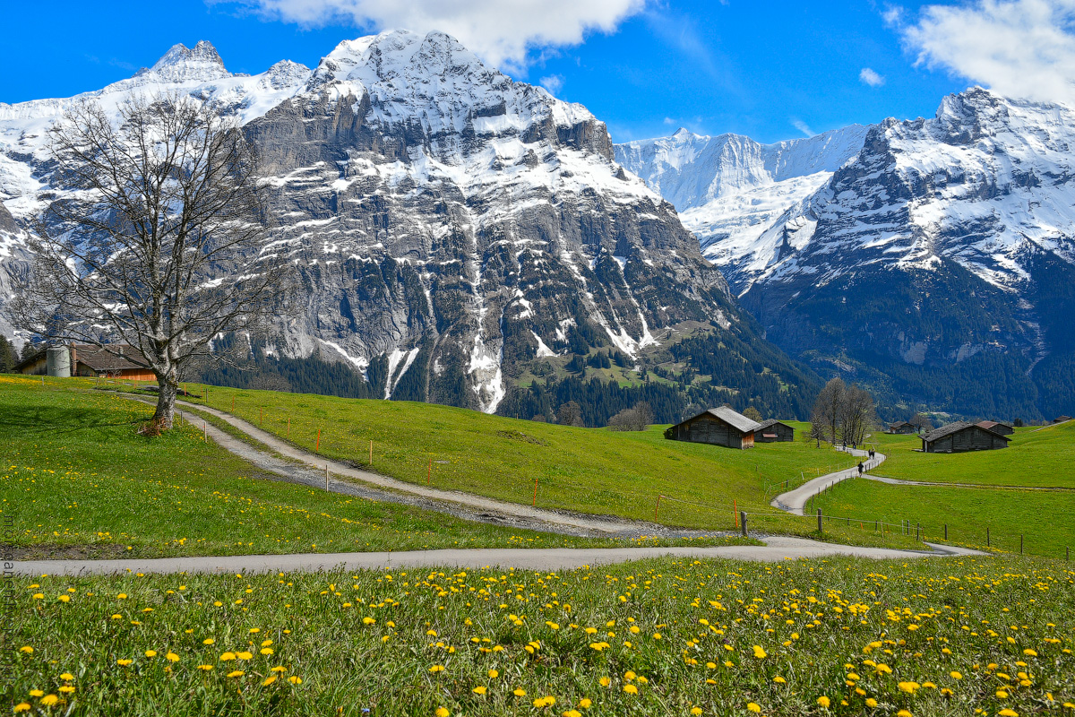 Grindelwald-(31)