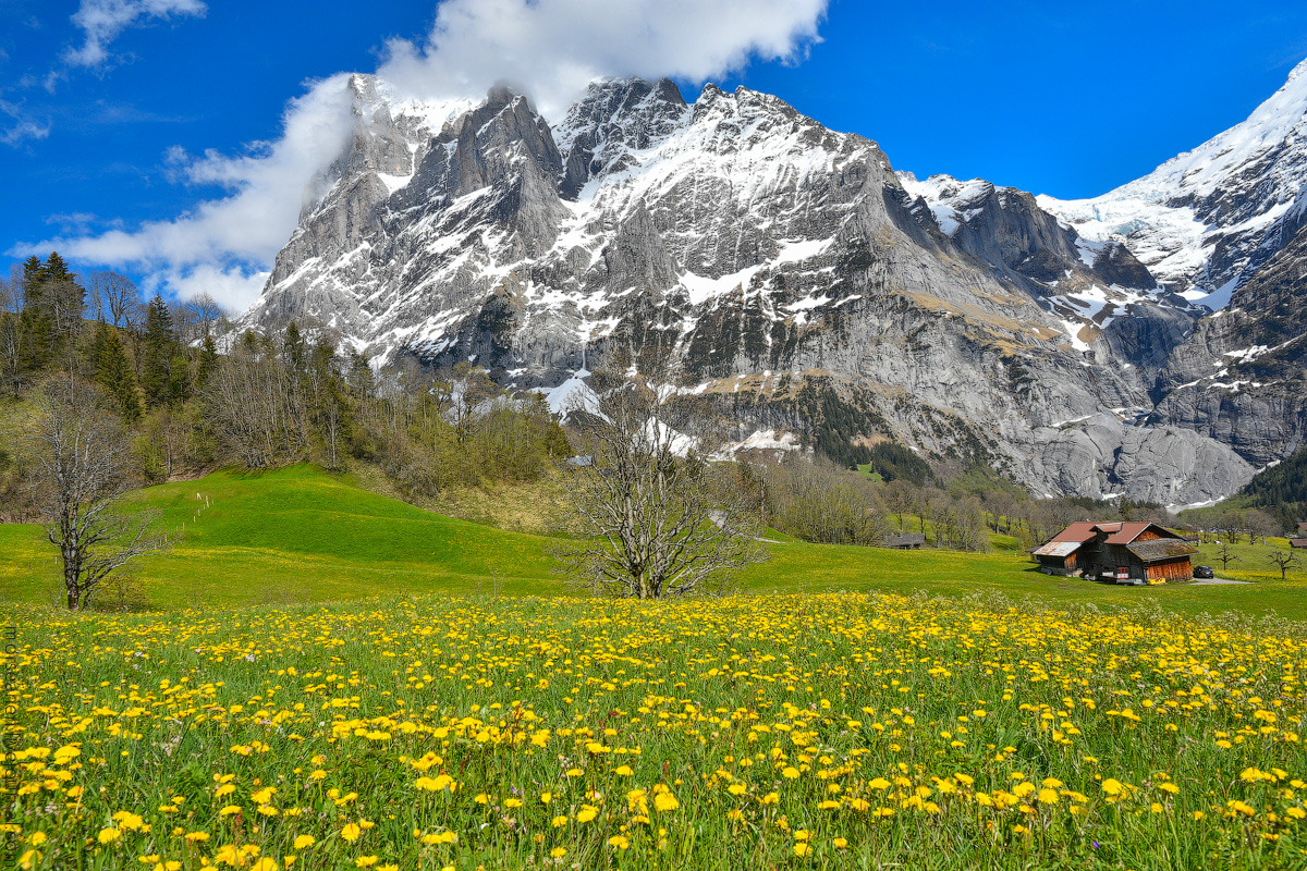 Grindelwald-(28)