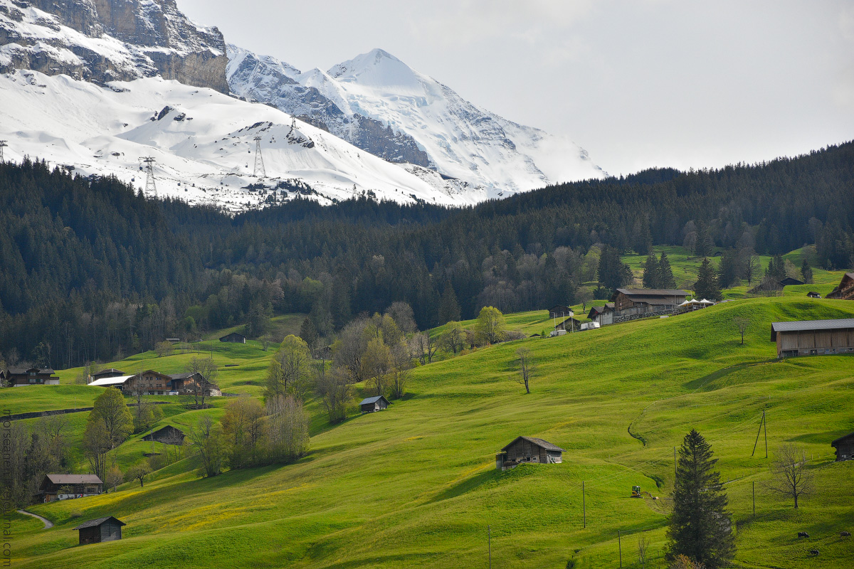 Grindelwald-(19)