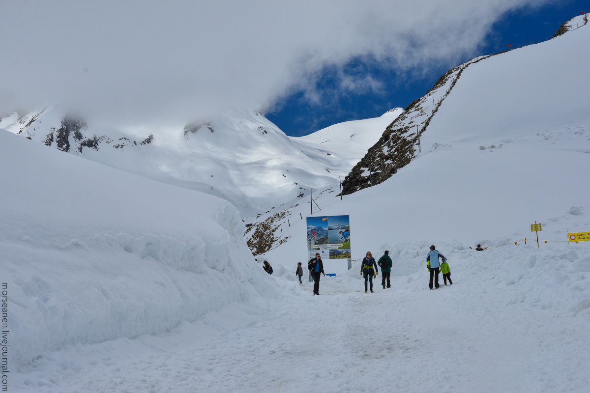 Grindelwald-(12)