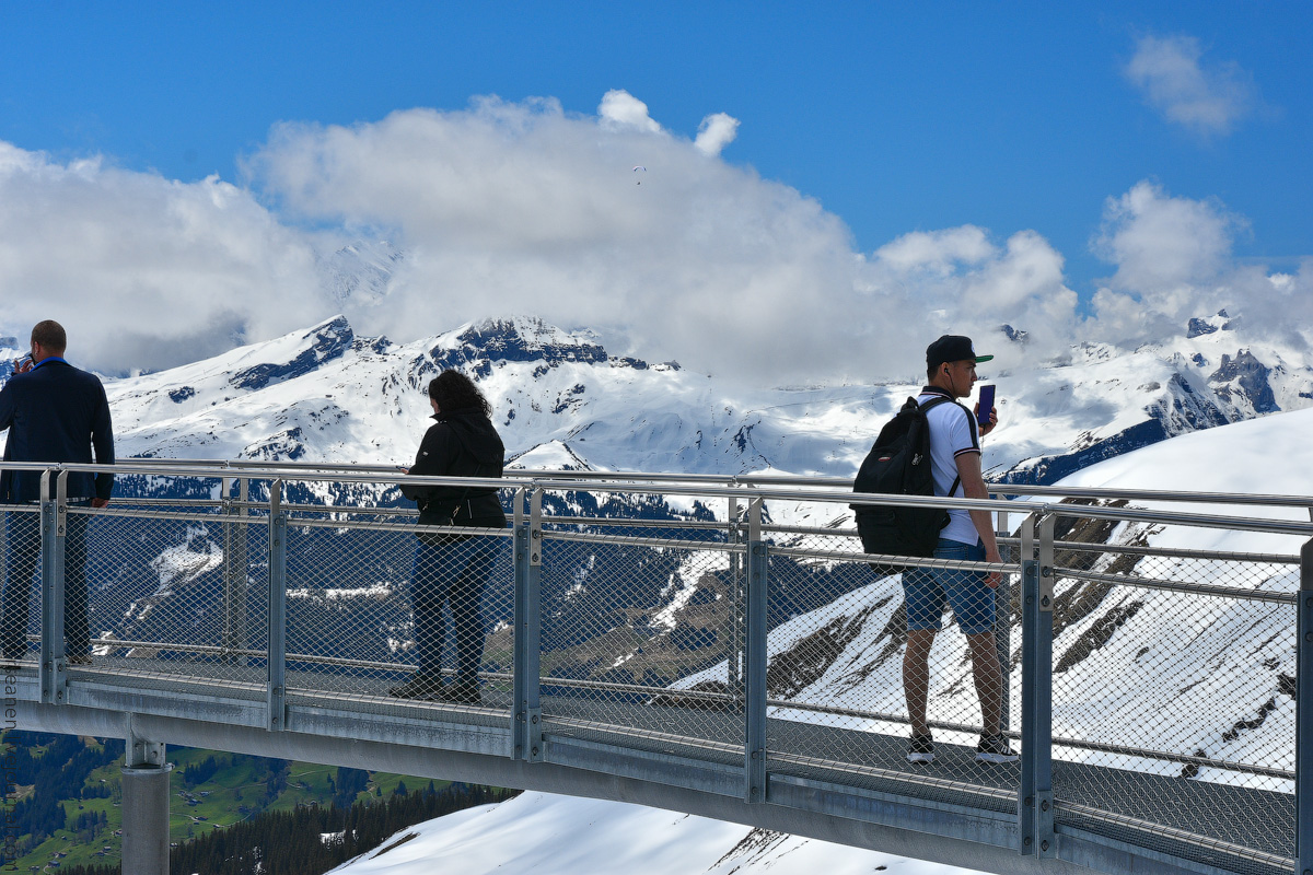 Grindelwald-(41)