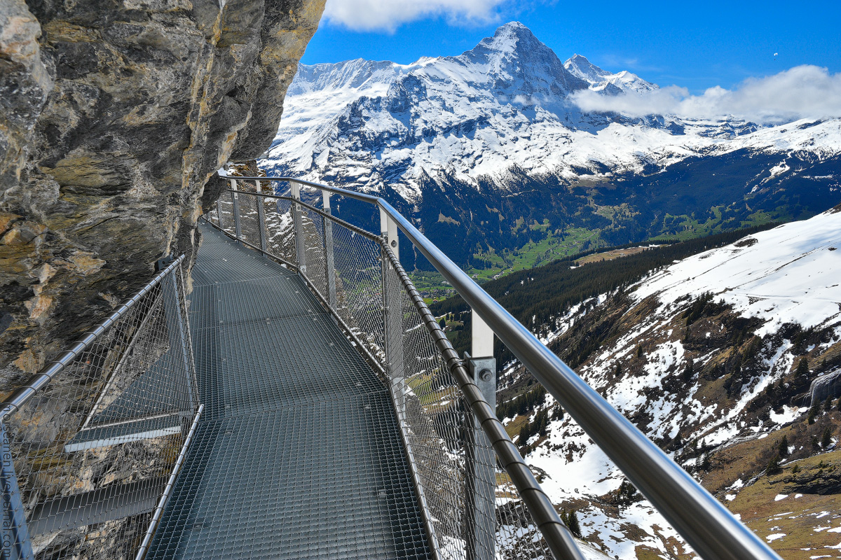 Grindelwald-(9)