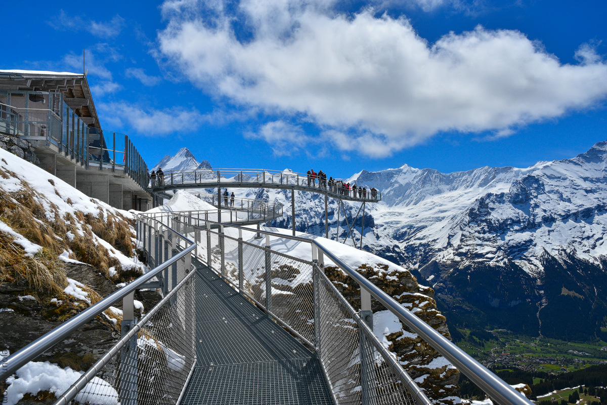 Grindelwald-(4)