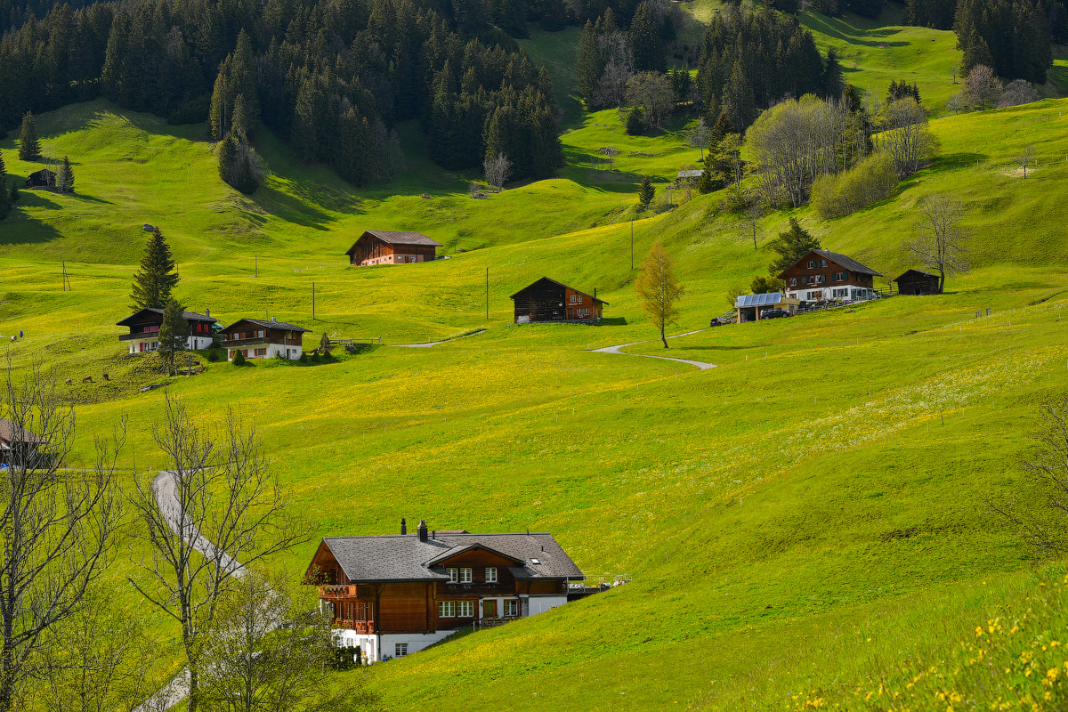 Grindelwald-(25)