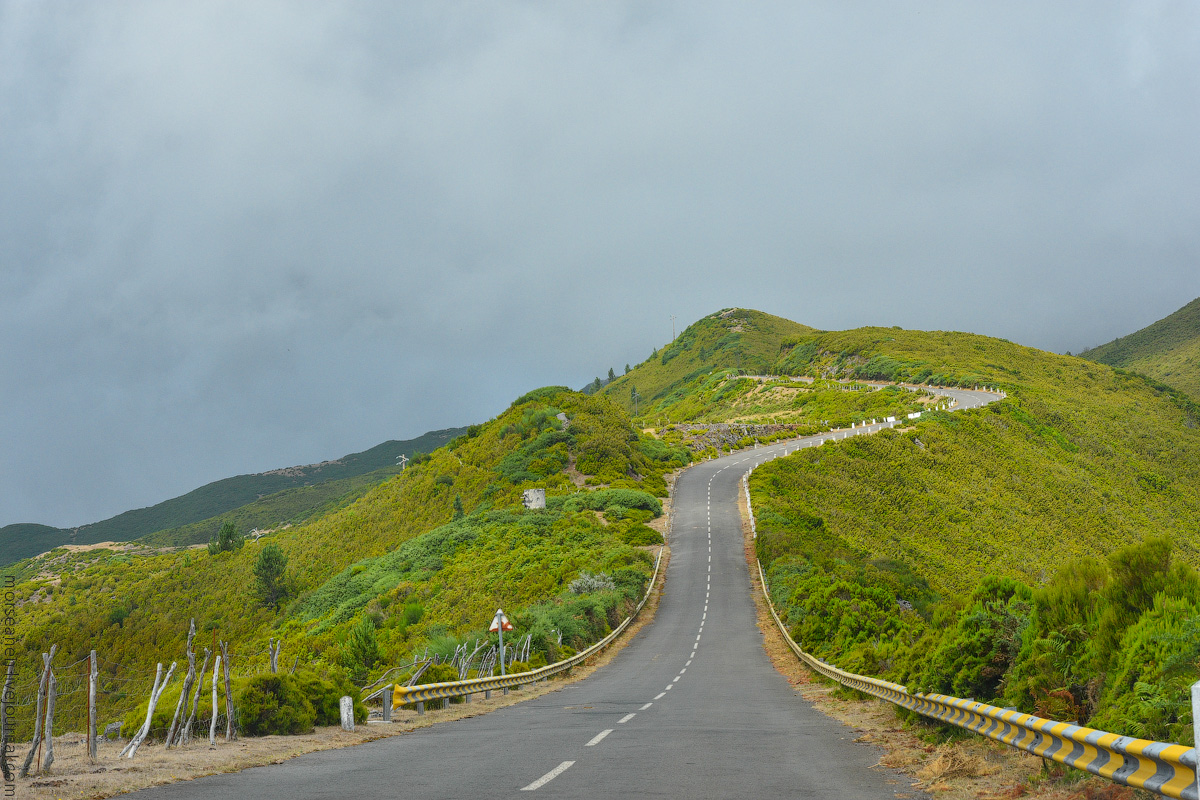 Madeira-Beginning-(35)