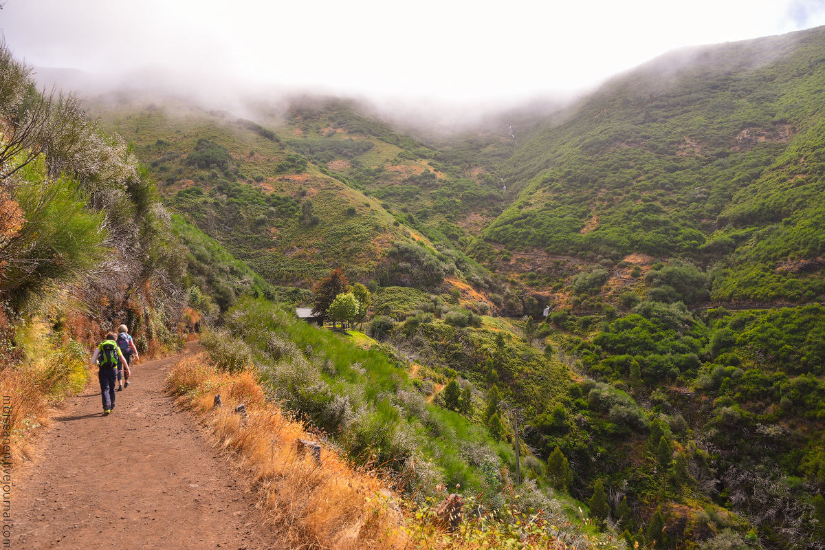 Madeira-Beginning-(30)