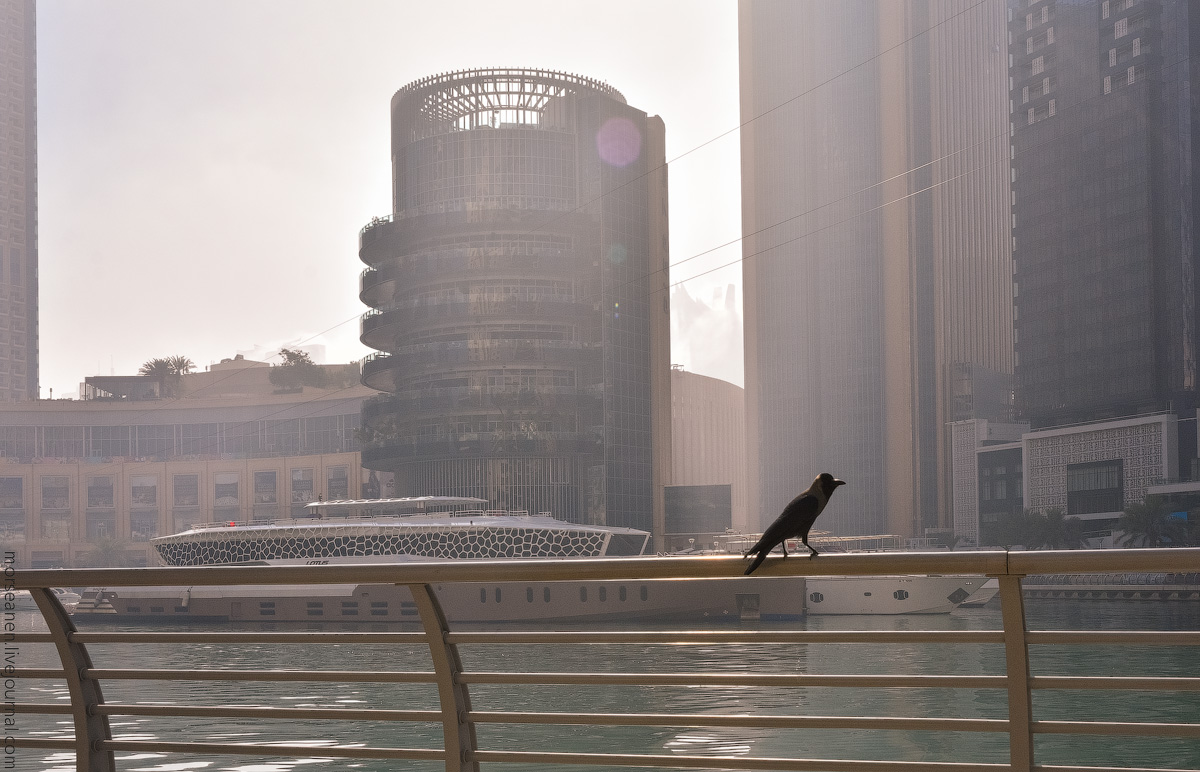 Dubai-Marina-(33)