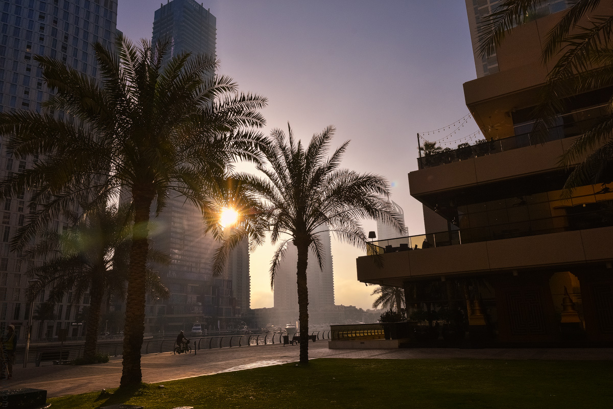 Dubai-Marina-(17)