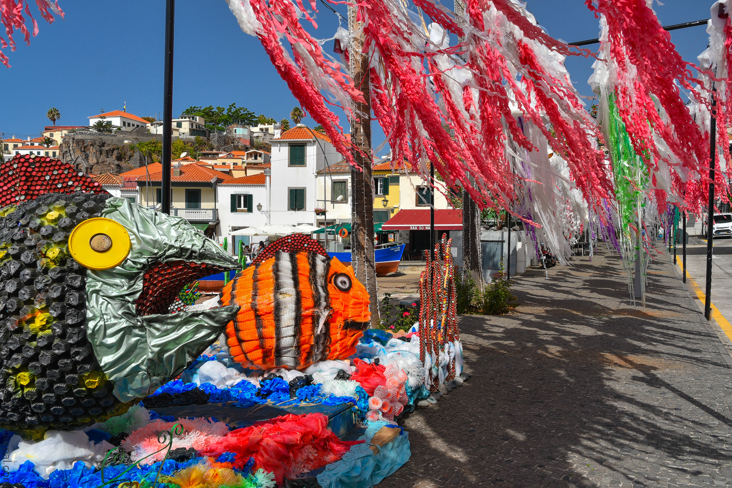 Madeira-South-(30)