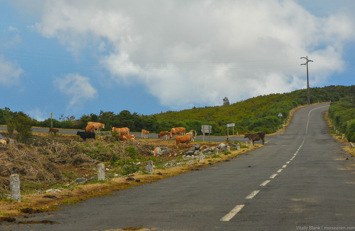 Madeira-North-Coast-(44)